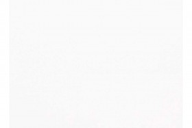 Стеновая панель (3050*600*6) 1UБелыйSГП СП 111 ГЛЯНЕЦ в Дивногорске - divnogorsk.katalogmebeli.com | фото